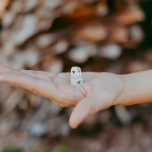 Aros Disney  pavé con iconos de Mickey Mouse de Rebecca Hook